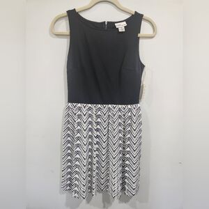 NWT Navy and White Pleated Skirt Dress